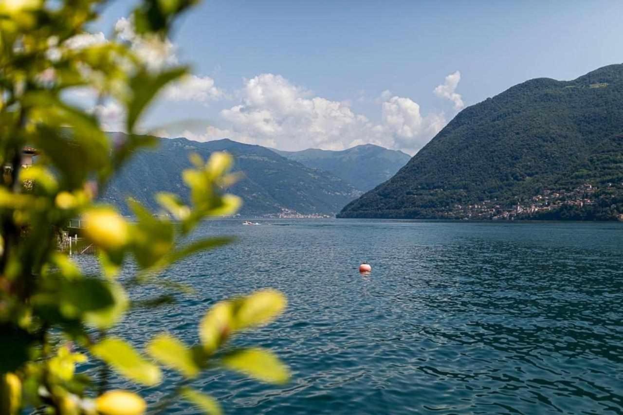 Villa Delle Edere Brienno Εξωτερικό φωτογραφία