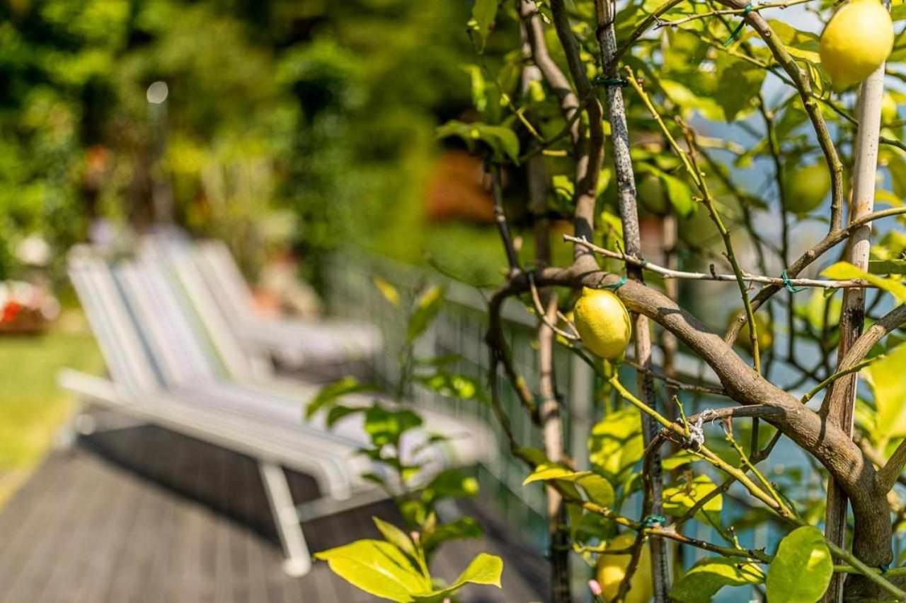 Villa Delle Edere Brienno Εξωτερικό φωτογραφία